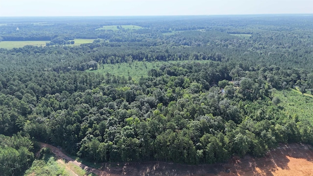 ***TBD*** Attapulgus Highway, Quincy, FL 32352 - photo 6