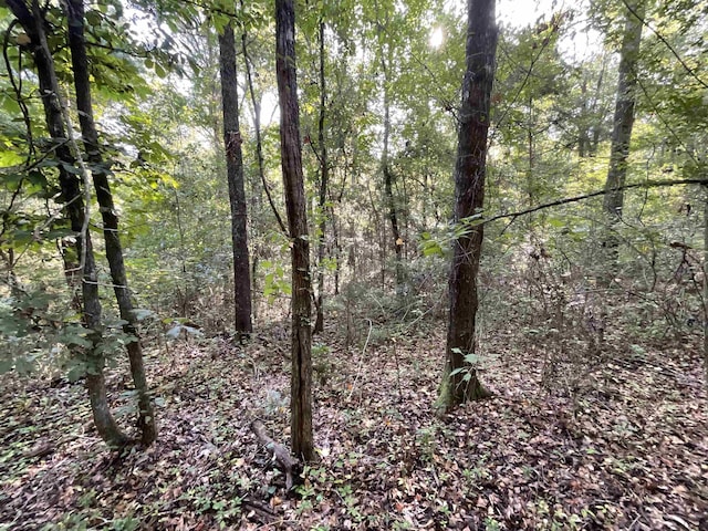 ***TBD*** Attapulgus Highway, Quincy, FL 32352 - photo 28