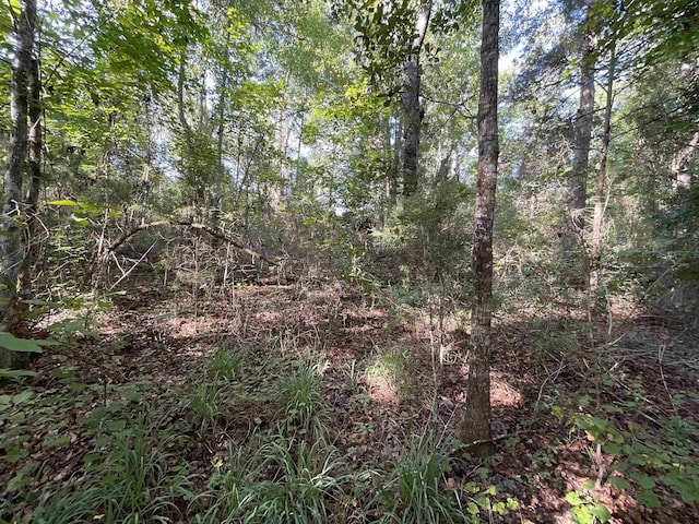 ***TBD*** Attapulgus Highway, Quincy, FL 32352 - photo 12