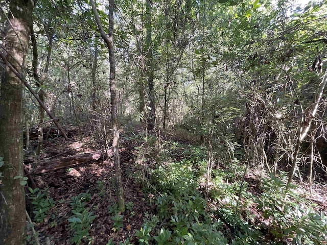 ***TBD*** Attapulgus Highway, Quincy, FL 32352 - photo 36