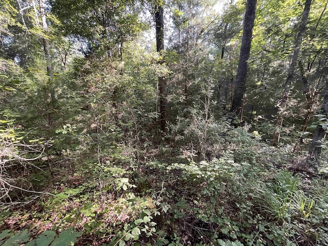 ***TBD*** Attapulgus Highway, Quincy, FL 32352 - photo 26