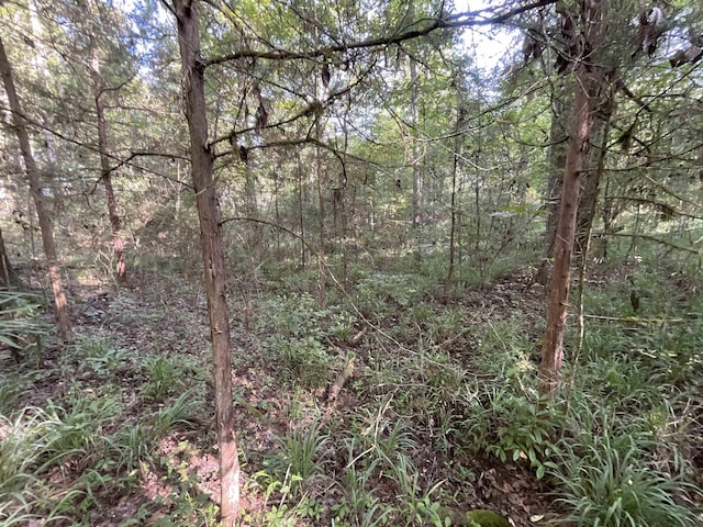***TBD*** Attapulgus Highway, Quincy, FL 32352 - photo 29