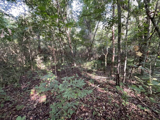 ***TBD*** Attapulgus Highway, Quincy, FL 32352 - photo 20