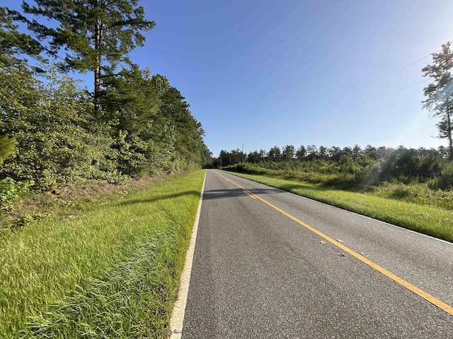 ***TBD*** Attapulgus Highway, Quincy, FL 32352 - photo 10