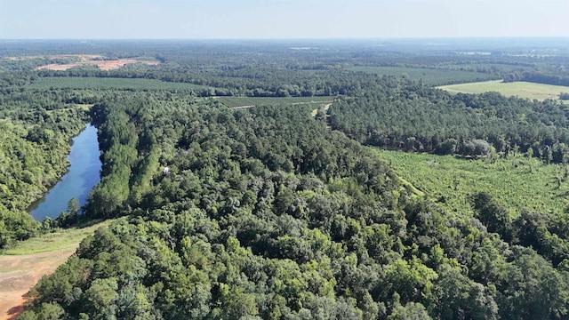 ***TBD*** Attapulgus Highway, Quincy, FL 32352 - photo 8