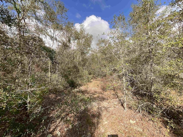 VACANT SE River Rd, Lee, FL 32059 - photo 13