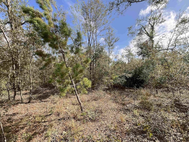 VACANT SE River Rd, Lee, FL 32059 - photo 15