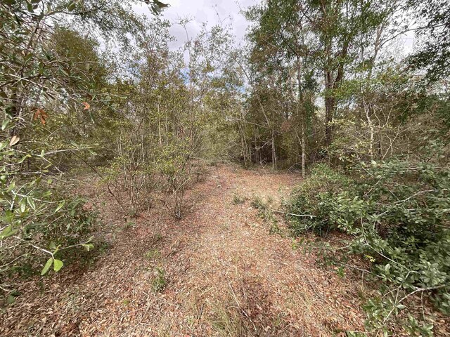 VACANT SE River Rd, Lee, FL 32059 - photo 36