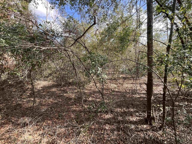 VACANT SE River Rd, Lee, FL 32059 - photo 11