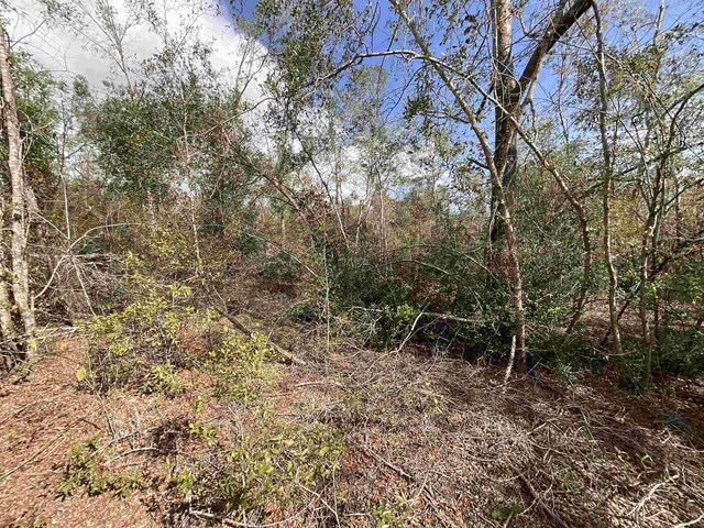 VACANT SE River Rd, Lee, FL 32059 - photo 17
