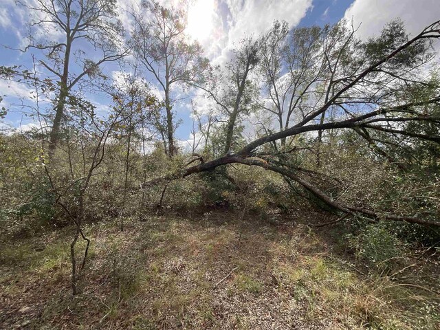 VACANT SE River Rd, Lee, FL 32059 - photo 19