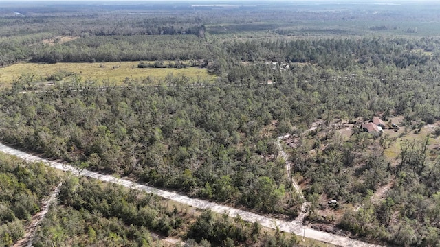 Listing photo 3 for VACANT SE River Rd, Lee FL 32059