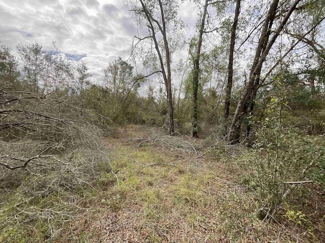 VACANT SE River Rd, Lee, FL 32059 - photo 33