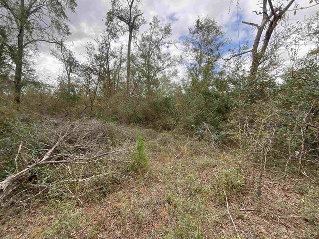VACANT SE River Rd, Lee, FL 32059 - photo 25