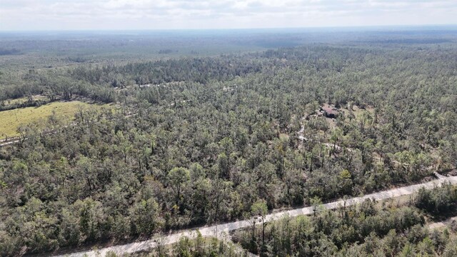 VACANT SE River Rd, Lee, FL 32059 - photo 2