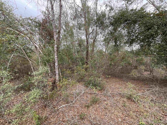 VACANT SE River Rd, Lee, FL 32059 - photo 32