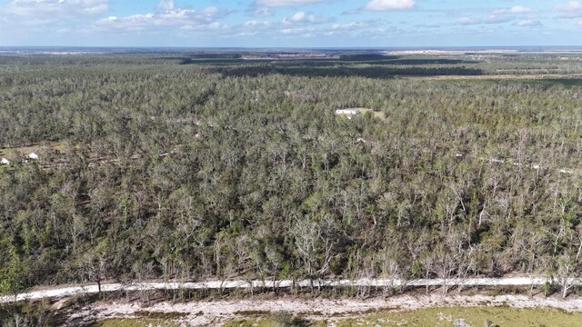 VACANT SE River Rd, Lee, FL 32059 - photo 6