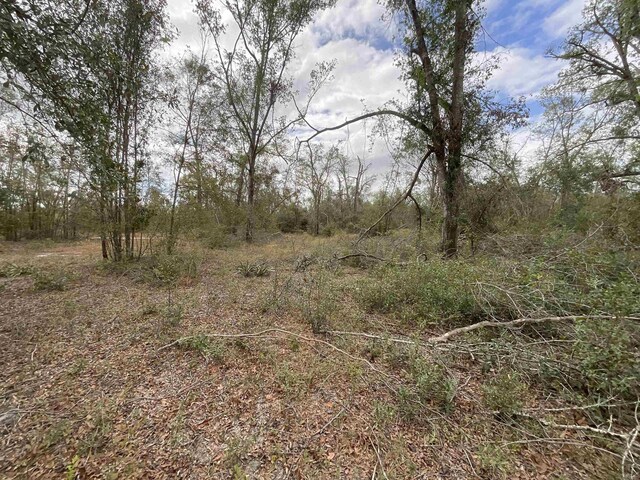 VACANT SE River Rd, Lee, FL 32059 - photo 27