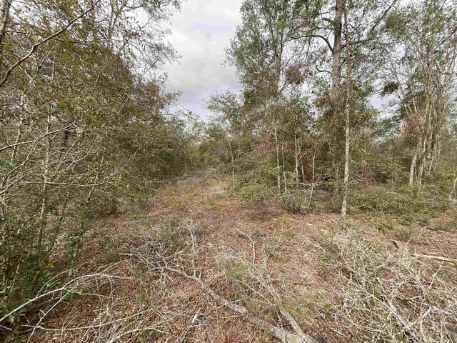 VACANT SE River Rd, Lee, FL 32059 - photo 30