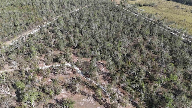 VACANT SE River Rd, Lee, FL 32059 - photo 4
