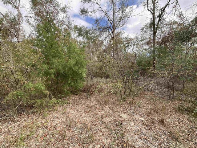 VACANT SE River Rd, Lee, FL 32059 - photo 24