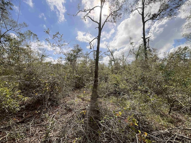 VACANT SE River Rd, Lee, FL 32059 - photo 18