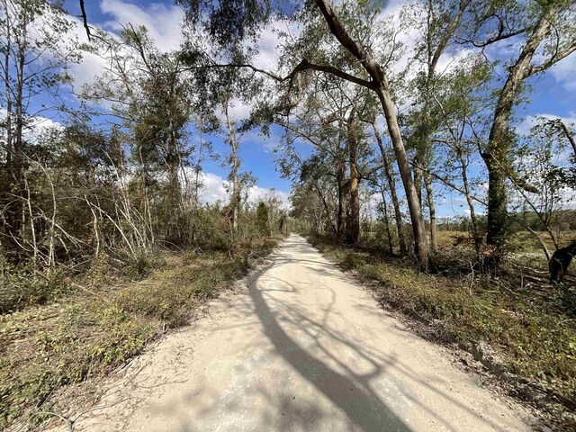 VACANT SE River Rd, Lee, FL 32059 - photo 12