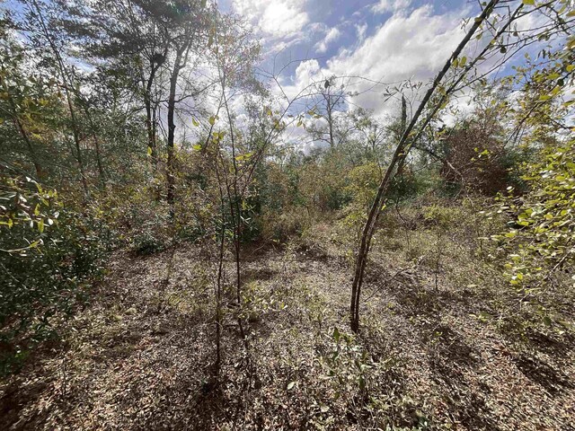 VACANT SE River Rd, Lee, FL 32059 - photo 10