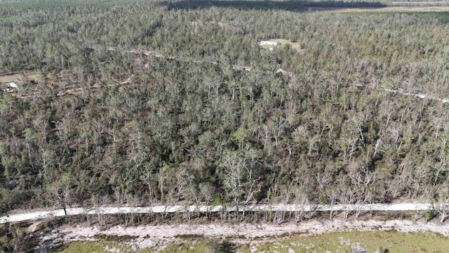 VACANT SE River Rd, Lee, FL 32059 - photo 7