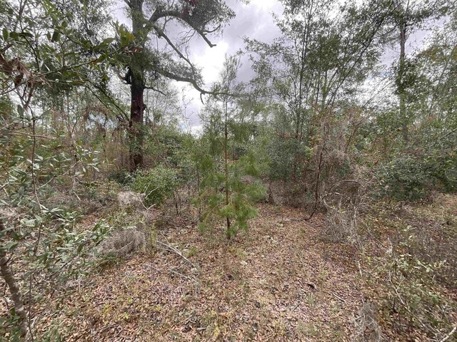 VACANT SE River Rd, Lee, FL 32059 - photo 28