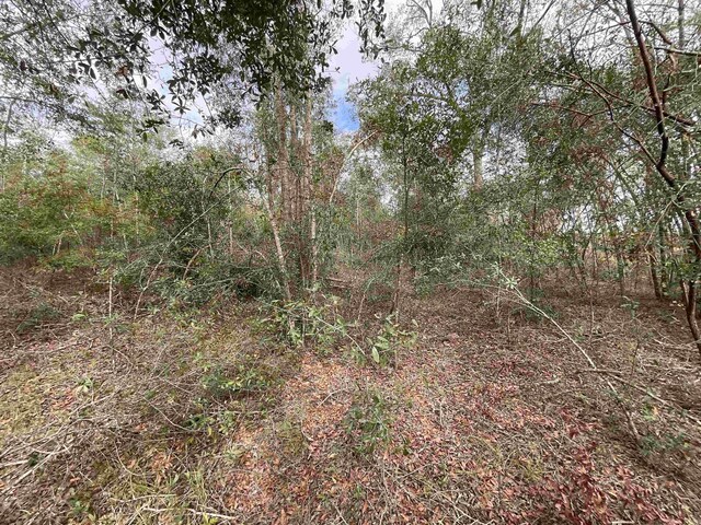 VACANT SE River Rd, Lee, FL 32059 - photo 41