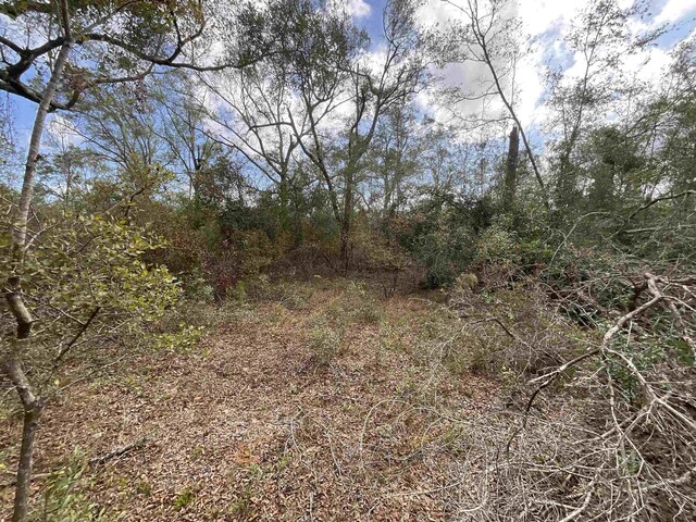 VACANT SE River Rd, Lee, FL 32059 - photo 22