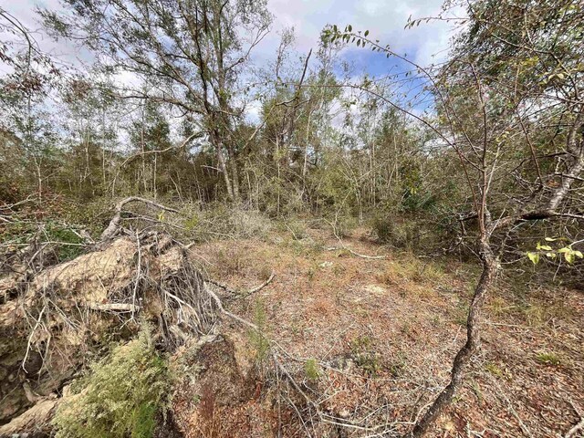 VACANT SE River Rd, Lee, FL 32059 - photo 38