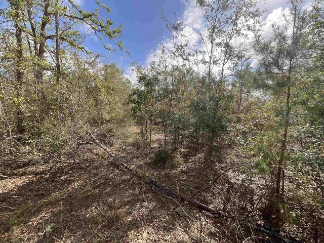 VACANT SE River Rd, Lee, FL 32059 - photo 14