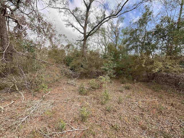VACANT SE River Rd, Lee, FL 32059 - photo 20