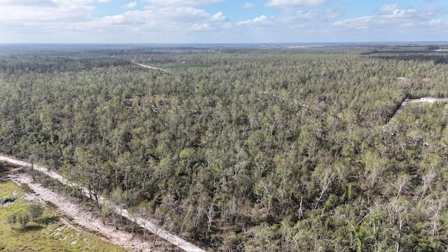 VACANT SE River Rd, Lee, FL 32059 - photo 8