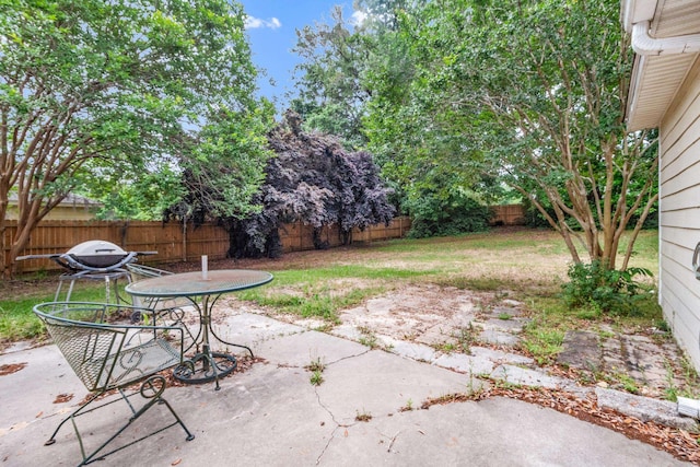 8827 Sapphire Dr, Tallahassee, FL 32309 - view of patio