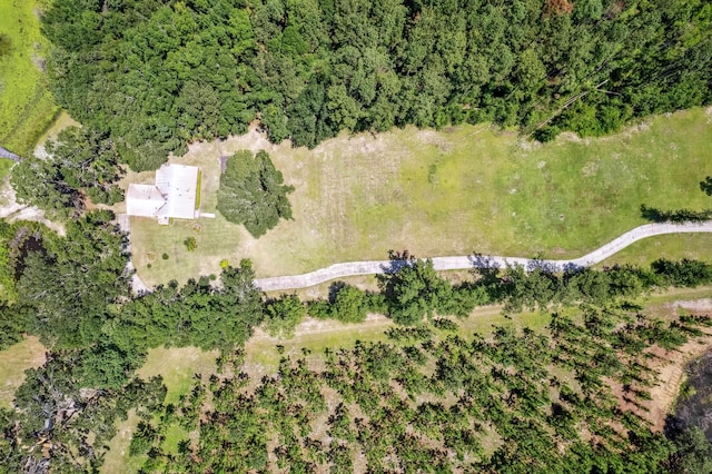 9849 N Sr 53, Madison, FL 32340 - photo 51