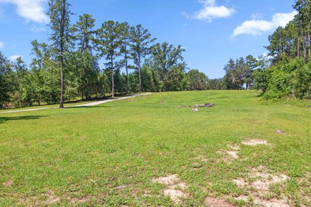 9849 N Sr 53, Madison, FL 32340 - photo 41