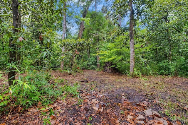 3700 Honey Bee Pt, Tallahassee, FL 32309 - view of tree filled area