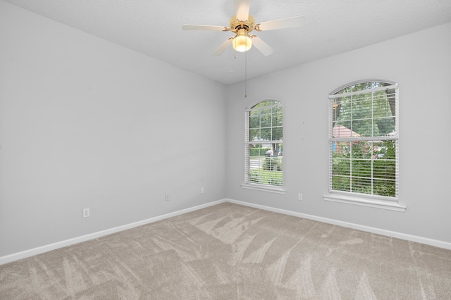157 Love Ridge Ct, Tallahassee, FL 32312 - photo 31
