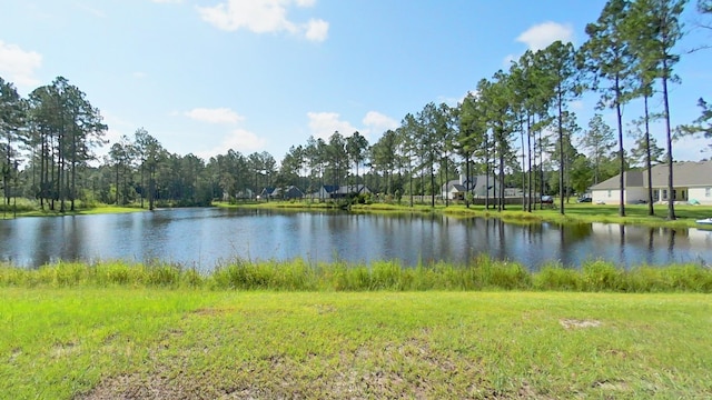 101 Sandy Creek Ln, Thomasville, GA 31757 - photo 36