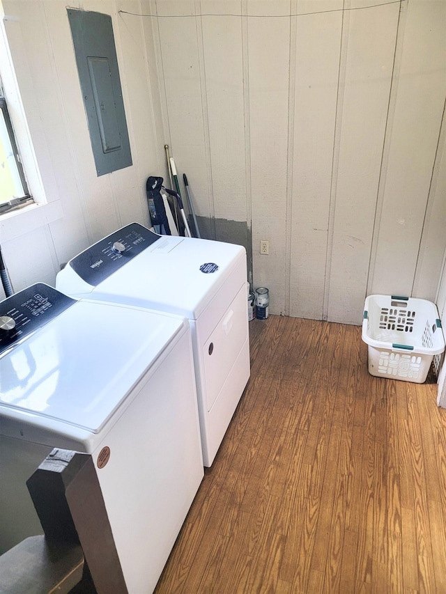 laundry room with electric panel, dark hardwood / wood-style flooring, and independent washer and dryer