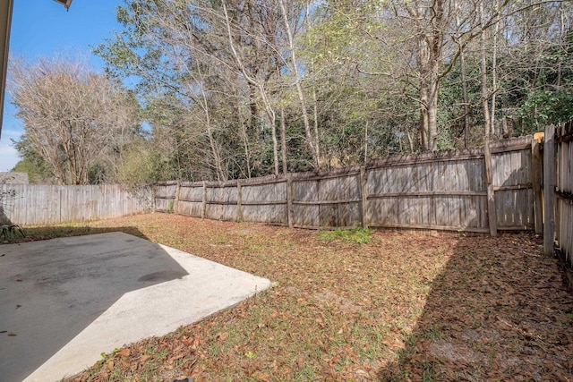 view of yard featuring a patio