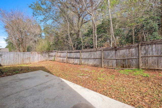 view of yard featuring a patio area