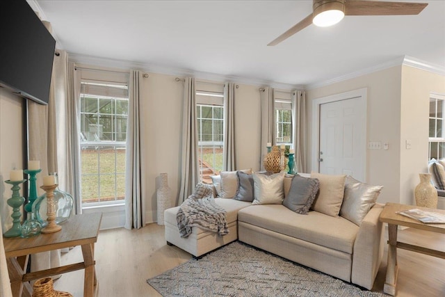 living room featuring crown molding, light hardwood / wood-style floors, and ceiling fan