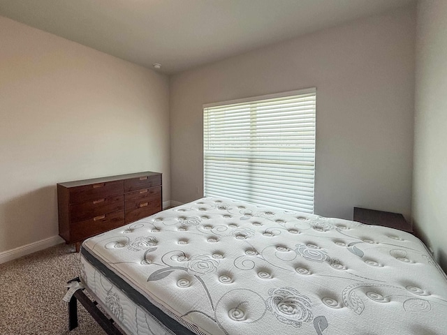 119 Windsor Way, Crawfordville, FL 32327 - photo 29