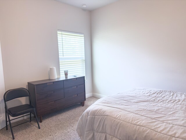 119 Windsor Way, Crawfordville, FL 32327 - photo 24