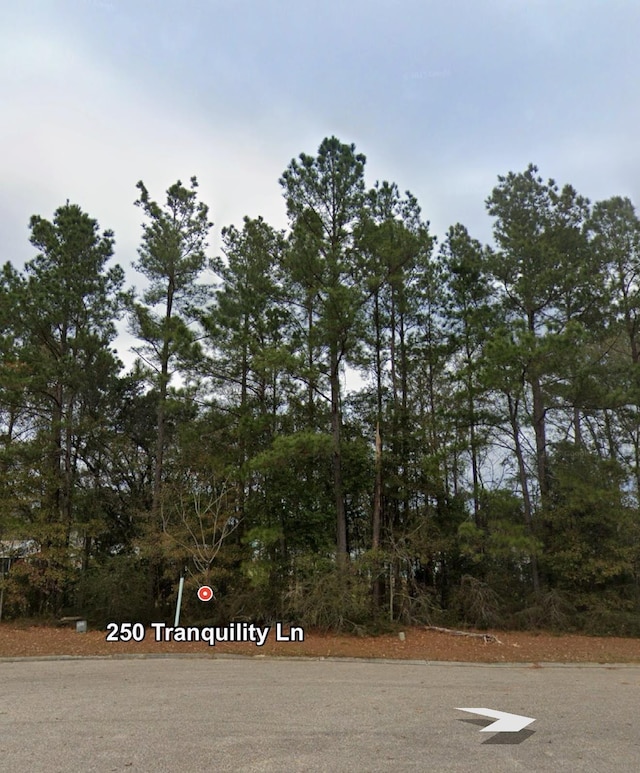250 Tranquility Ln, Havana, FL 32333 - photo 1
