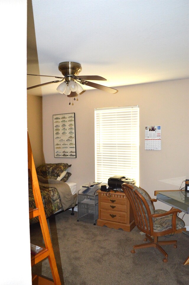 carpeted office space featuring ceiling fan